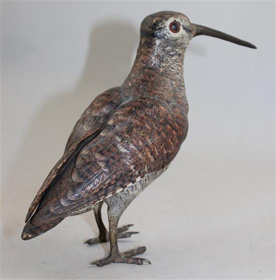 A late 19th / early 20th century Austrian cold painted bronze woodcock, 7in.